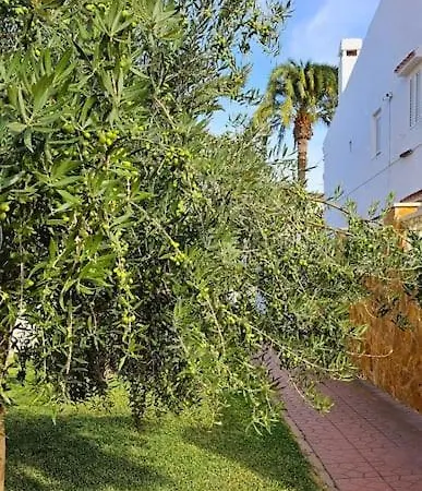 Apartment Casa De Lince Calle Rio Ebro 48 Gran Alacant